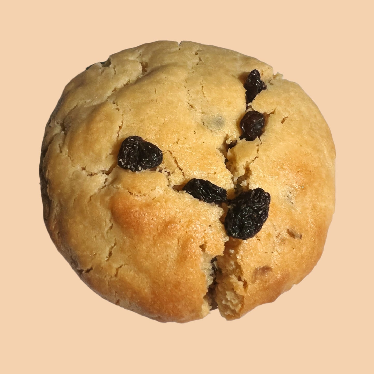 Raisin & Walnut Cookie